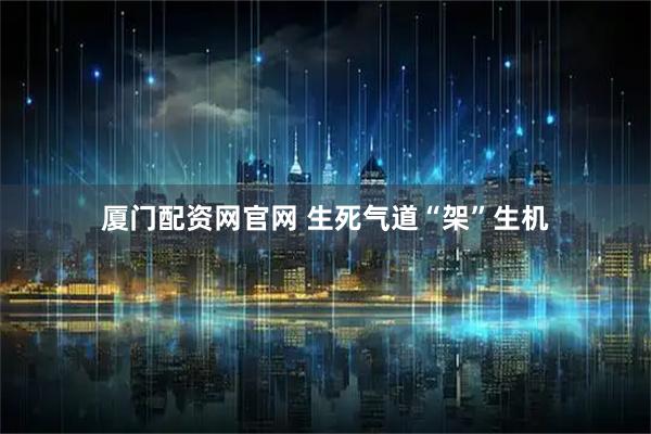 厦门配资网官网 生死气道“架”生机