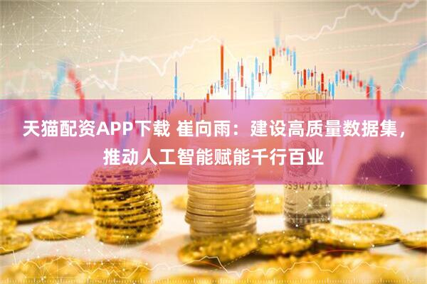 天猫配资APP下载 崔向雨：建设高质量数据集，推动人工智能赋能千行百业